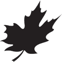 Canadian Metals Inc Logo