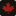 Champion Bear Resources Ltd Logo