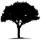 Nulegacy Gold Corporation Logo