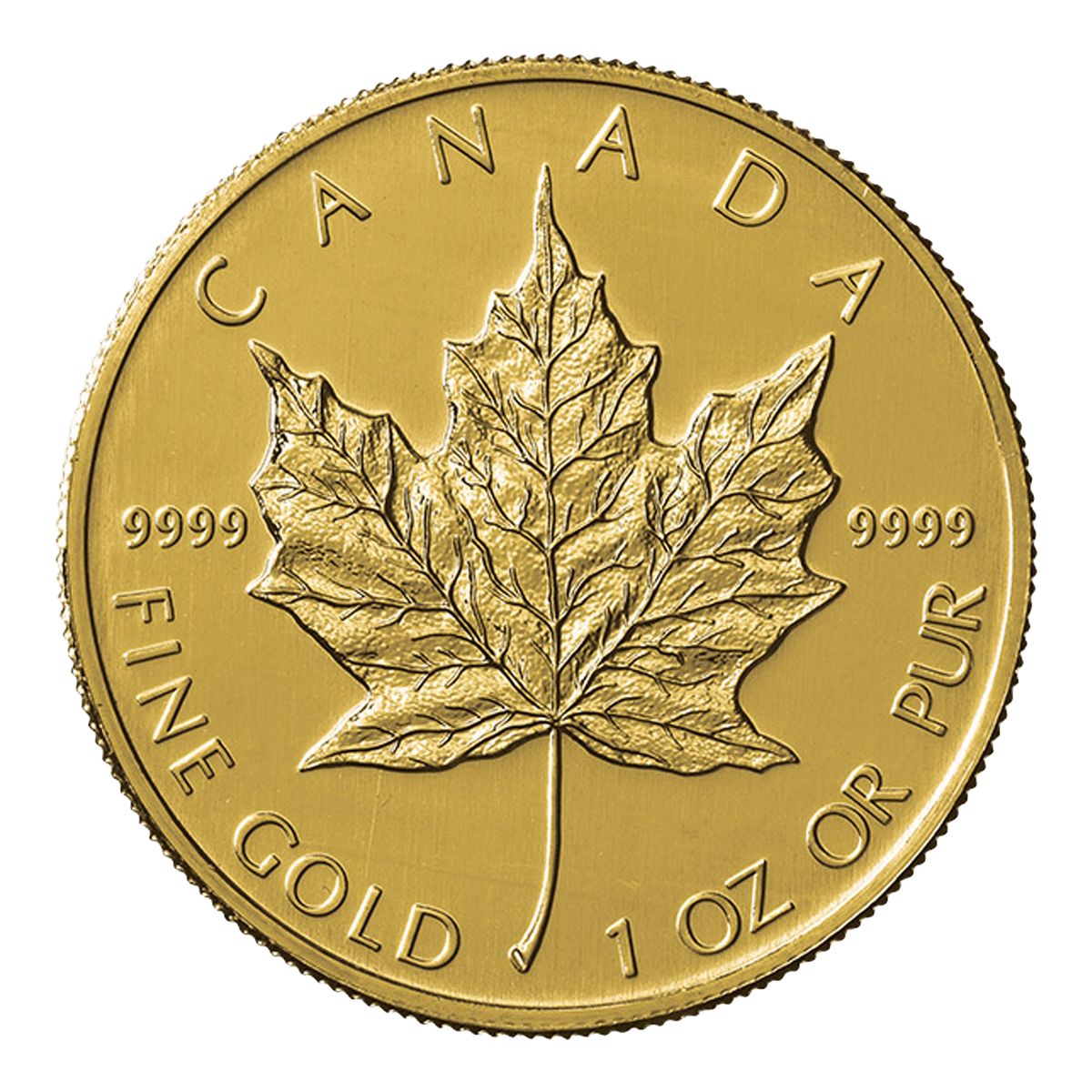 1 oz Canadian Gold Maple Leaf Coin